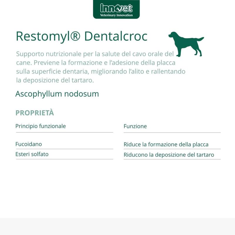 restomyl-dentalcroc-10109649--3-