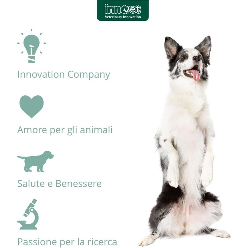 condrostress-mangime-complementare-per-cani-10110738--7-