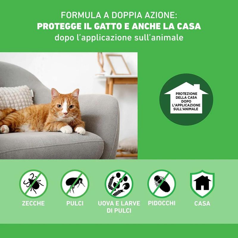 kit-risparmio-2x6pipette-frontline-gatto-combo-antiparassitario-spot-on-1000000000328--3-