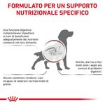 kit-risparmio-12x200g-royal-canin-v-diet-dog-gastrointestinal-low-fat--6-