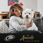 kit-risparmio-2x150g-cesar-dog-selezioni-dell-orto-1000000000326--7-