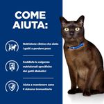 hills-prescription-diet-diabetes-care-m-d-per-gatto-con-fegato-come-aiuta