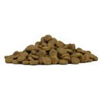 forza10-medium-adult-maintenance-cervo-e-patate-10173550--4