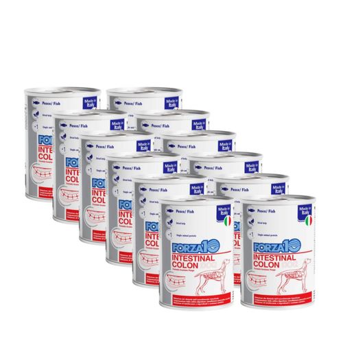 Forza10 Cane Intestinal Colon
