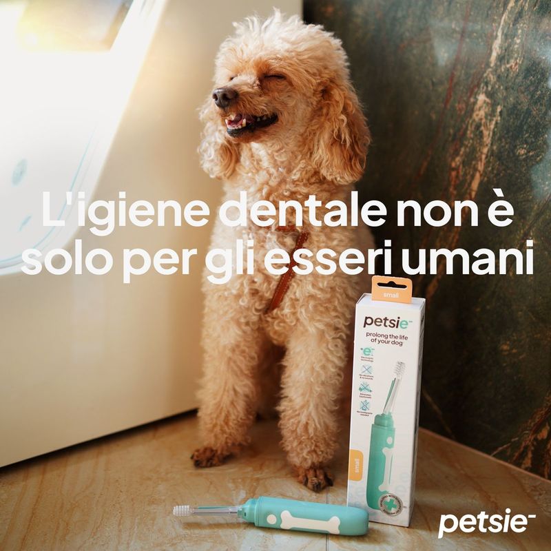 Spazzolino-Elettrico-per-Cane-10177150-4