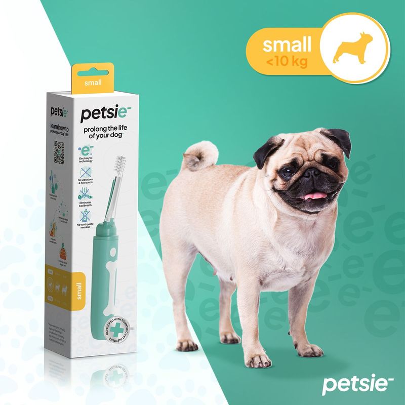 Spazzolino-Elettrico-per-Cane-10177150-2