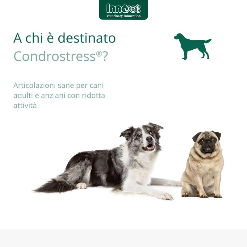 kit-risparmio-3x30cp-controstress-mangime-complementare-per-cani-1000000000702--5-