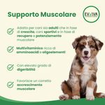 Evviva-Dog-Basic-Protein-10177174-2