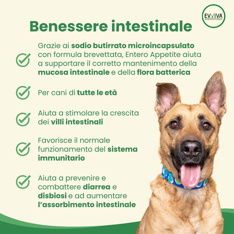 Evviva-Pet-Nutrition-to-Enjoy-Entero-Appetite-10177175-2