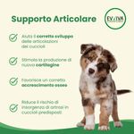 Evviva-Pet-Nutrition-to-Enjoy-Restore-Puppy-10177176-2