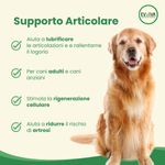 Evviva-Pet-Nutrition-to-Enjoy-Restore-Breeder-10177177-2