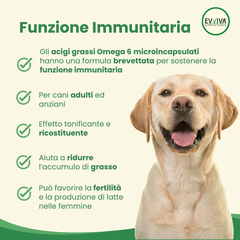 Evviva-Pet-Nutrition-to-Enjoy-Full-Omega-6-10177178-2