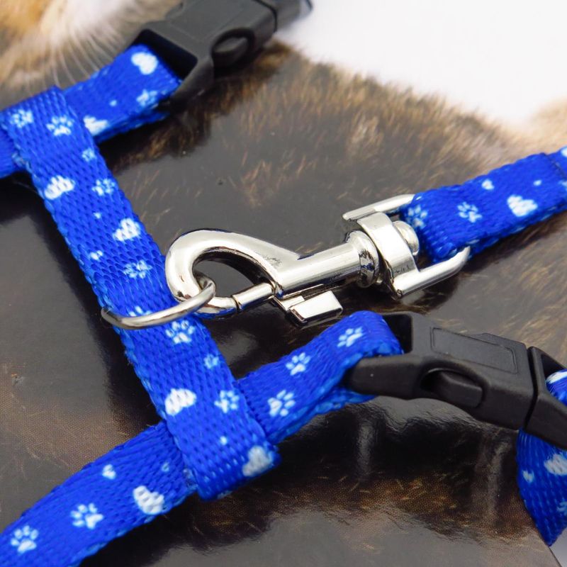 lovedi-parure-per-kitten-nylon-10177223--2-
