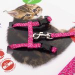 lovedi-parure-per-kitten-nylon-10177223--4-