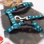 lovedi-parure-per-kitten-nylon-10177223--6-