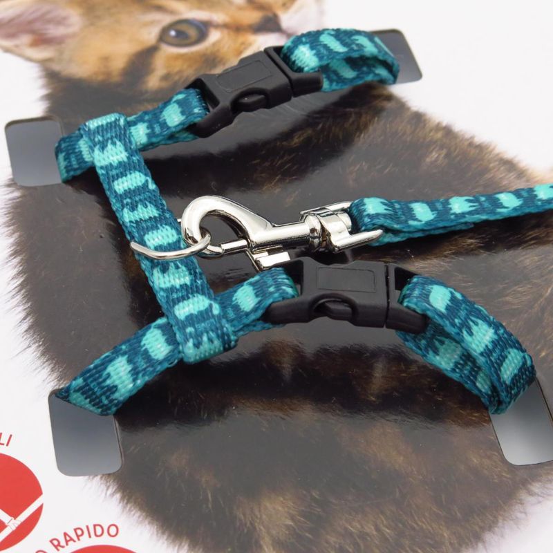 lovedi-parure-per-kitten-nylon-10177223--6-