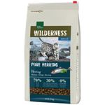 real-nature-wilderness-cat-adult-pure-aringa-1000000000747--2-
