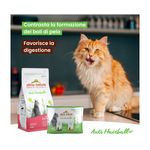 almo-holistic-cat-hairball-salmone-2KG-10075636-1