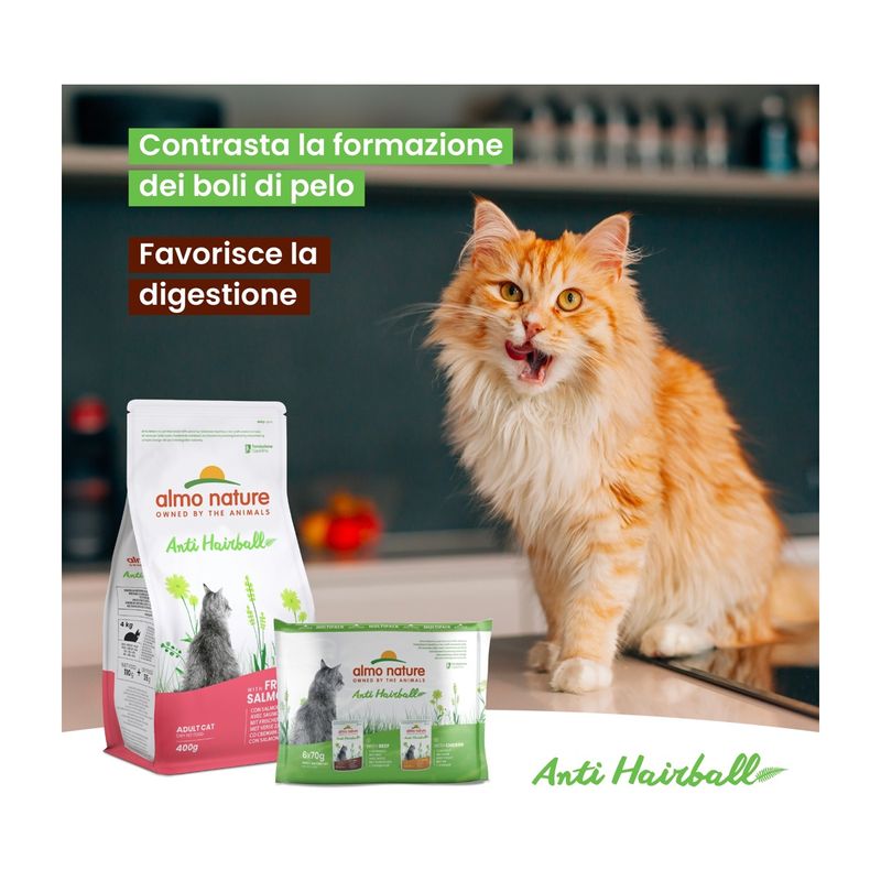 almo-holistic-cat-hairball-salmone-2KG-10075636-1