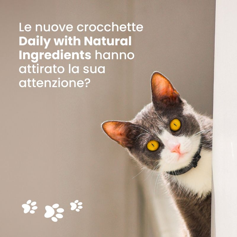 Almo-Nature-Cat-Daily-Maintenance-Pollo-e-Tacchino-10118807