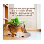 Almo-Nature-Cat-Daily-Maintenance-Pollo-e-Tacchino-10118807-1