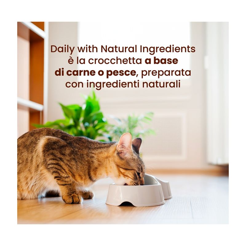 almo-nature-cat-daily-maintenance-tonno-e-salmone-10118808-2