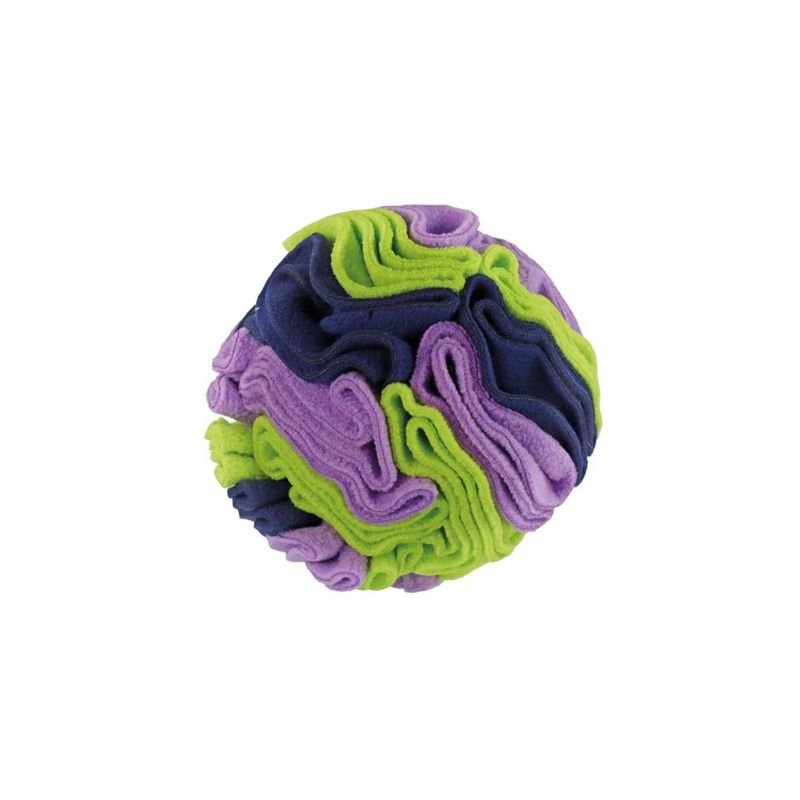 record-gioco-cane-sniffy-olfattivo-palla-10185992.jpg