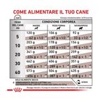royal-canin-veterinary-diet-cane-gastrointestinal-low-fat-ds.jpg
