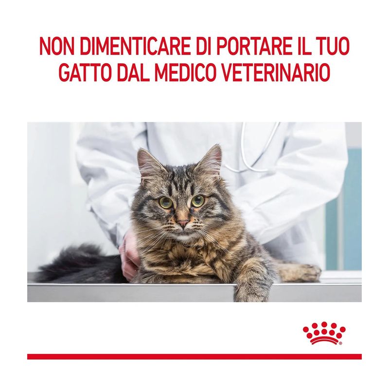 royal-canin-digestive-care-gatto-10177019--9-.jpg