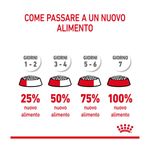 royal-canin-digestive-care-gatto-10177019--7-.jpg