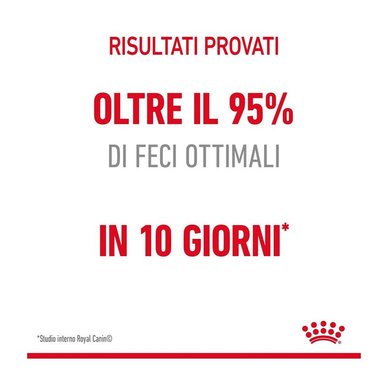 royal-canin-digestive-care-gatto-10177019--1-.jpg