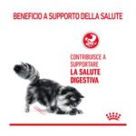 royal-canin-digestive-care-gatto-10177019--2-.jpg