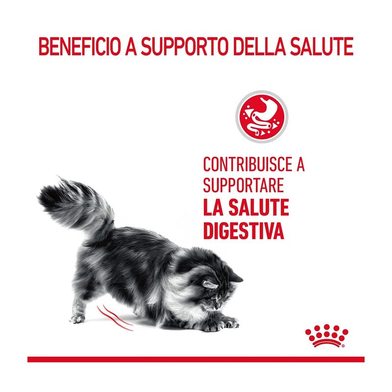 royal-canin-digestive-care-gatto-10177019--2-.jpg