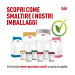 royal-canin-digestive-care-gatto-10177019--13-.jpg