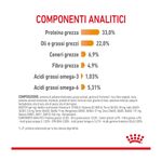royal-canin-hair-skin-care-gatto-00032897--6-.jpg