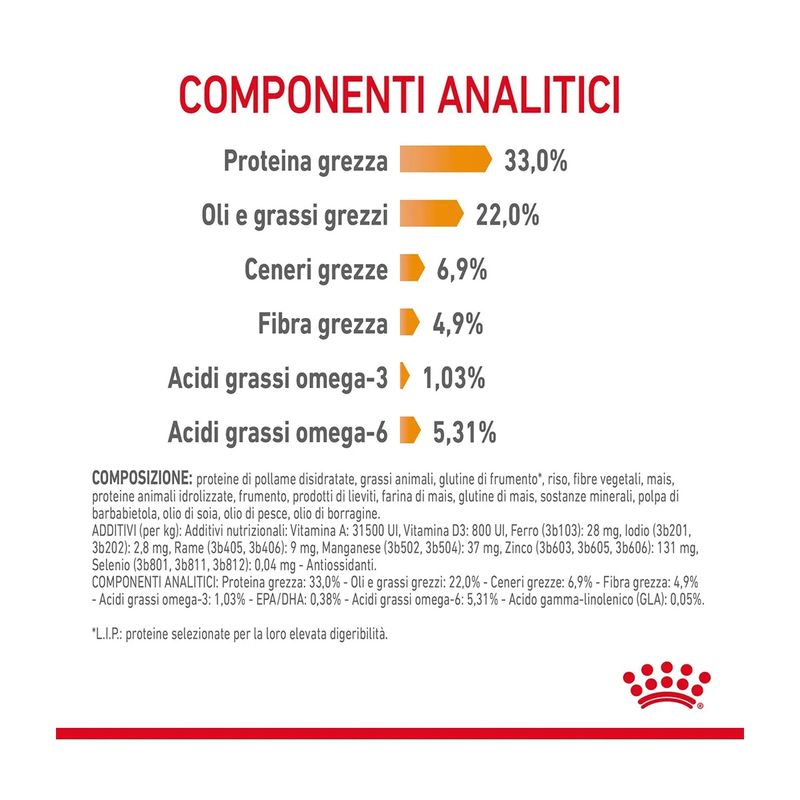 royal-canin-hair-skin-care-gatto-00032897--6-.jpg