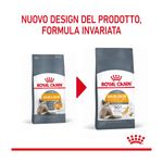 royal-canin-hair-skin-care-gatto-00032897--9-.jpg