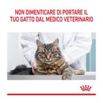 royal-canin-hair-skin-care-gatto-00032897--10-.jpg