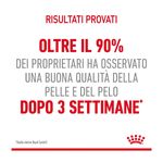 royal-canin-hair-skin-care-gatto-00032897--2-.jpg