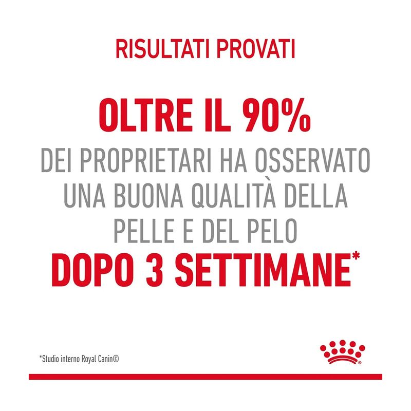 royal-canin-hair-skin-care-gatto-00032897--2-.jpg