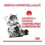 royal-canin-hair-skin-care-gatto-00032897--3-.jpg