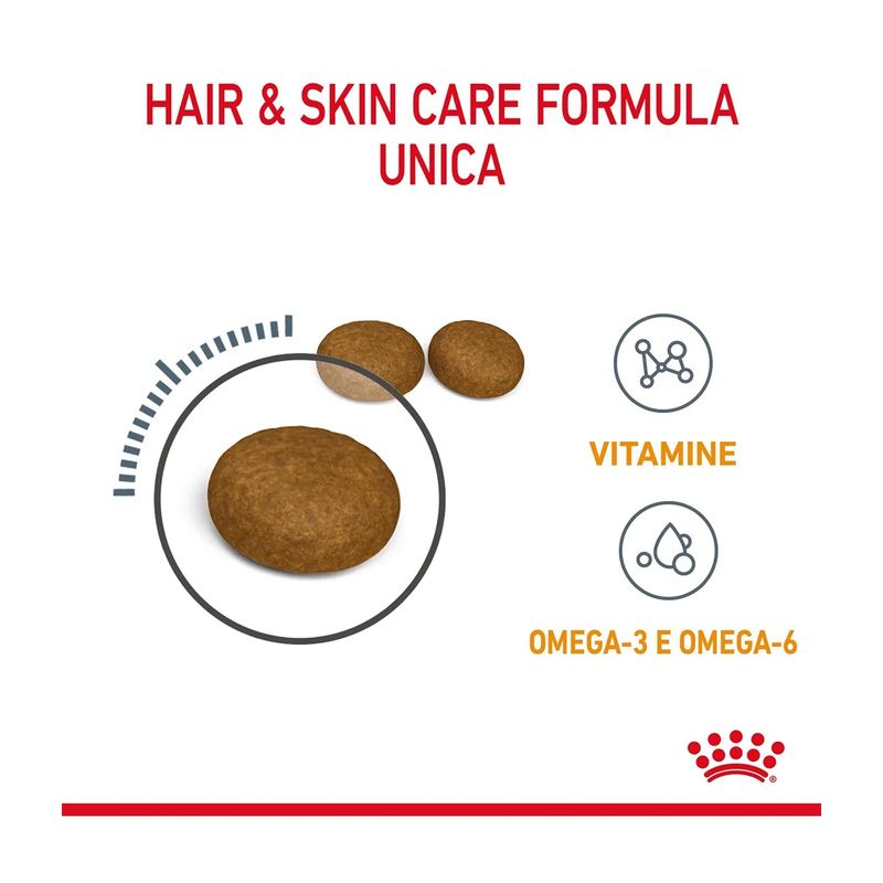 royal-canin-hair-skin-care-gatto-00032897--4-.jpg