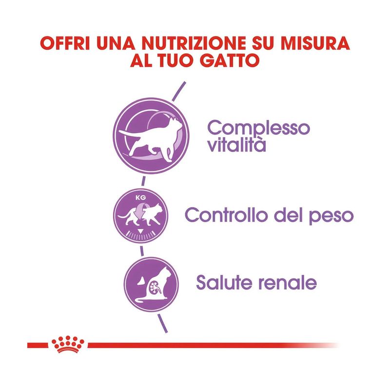 royal-canin-sterilized-7-gatto-10059616--4-.jpg