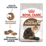 crocchette-royal-canin-ageing-12-10177018--8-.jpg