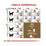 crocchette-royal-canin-ageing-12-10177018--6-.jpg