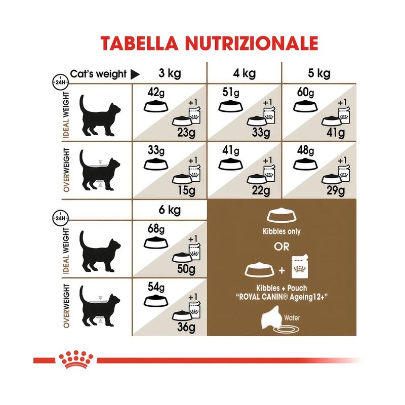 crocchette-royal-canin-ageing-12-10177018--6-.jpg