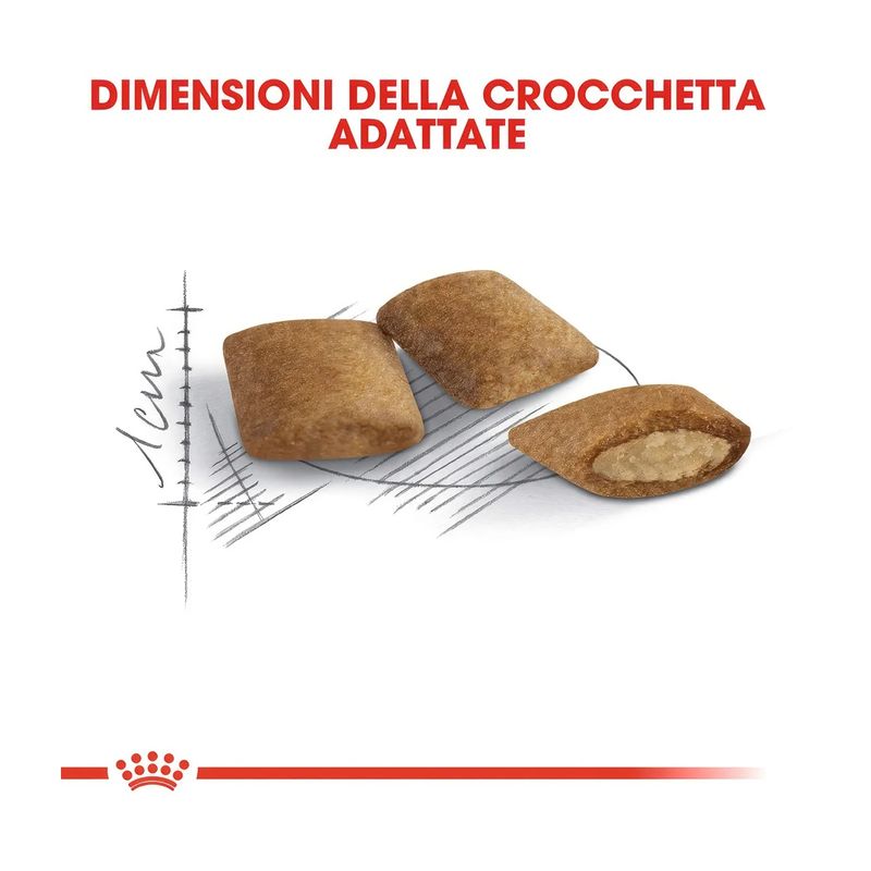 crocchette-royal-canin-ageing-12-10177018--5-.jpg