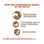 crocchette-royal-canin-ageing-12-10177018--4-.jpg