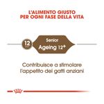 crocchette-royal-canin-ageing-12-10177018--3-.jpg