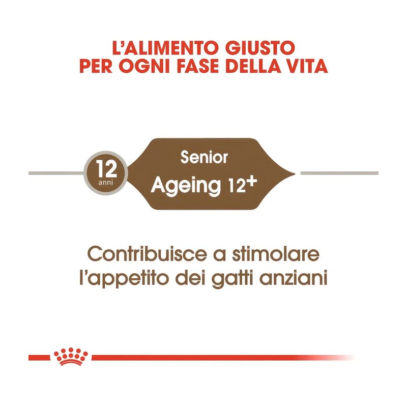 crocchette-royal-canin-ageing-12-10177018--3-.jpg